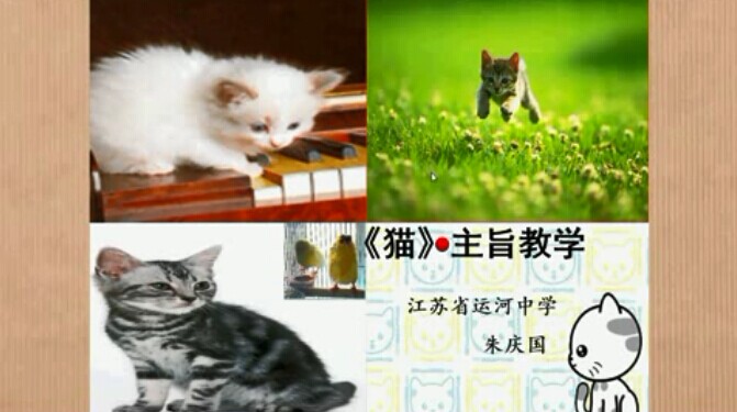 点击观看《《猫》•主旨教学》