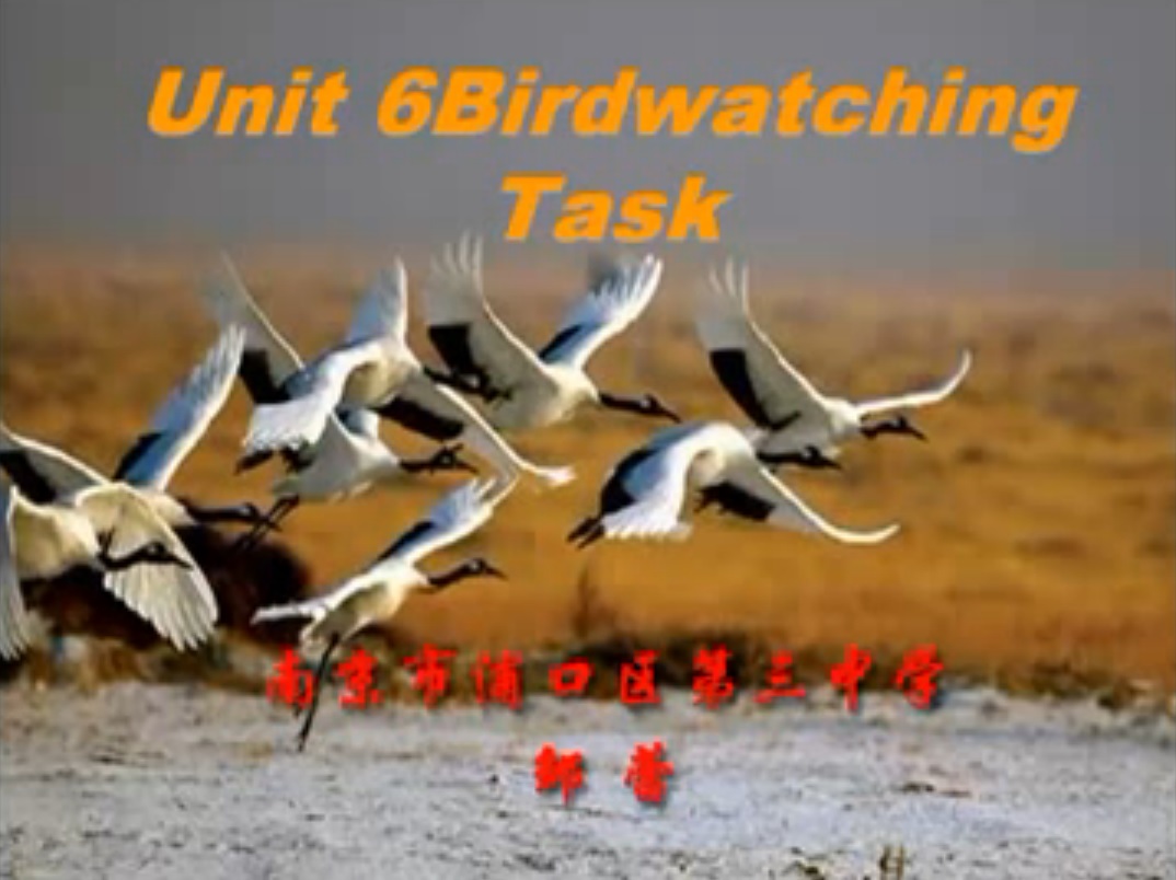 8A Unit6 Birdwatching