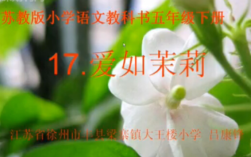 17.爱如茉莉