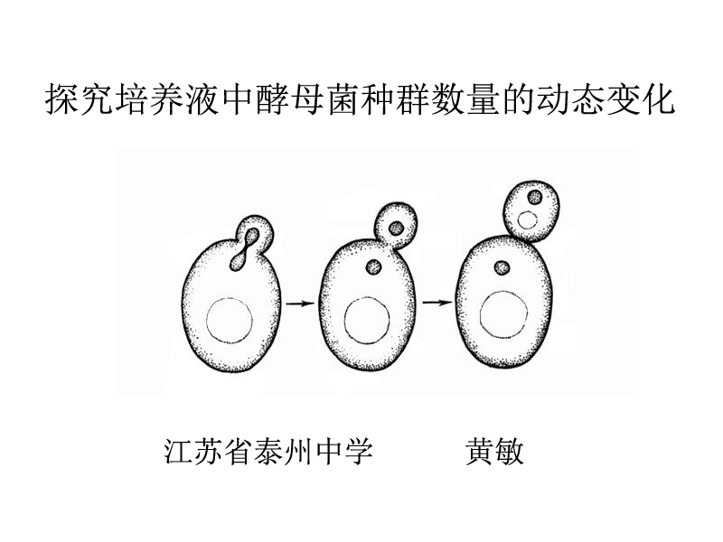 点击观看《探究培养液中酵母菌种群数量的动态变化》