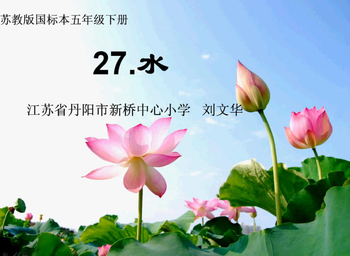 27.水（预习）